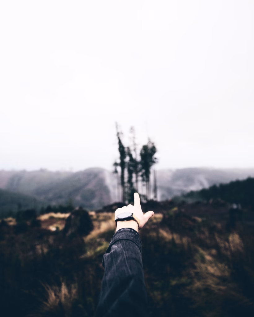 Someone pointing towards a distant object, symbolising a future life coaching goal